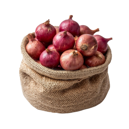 Onion bag Icon